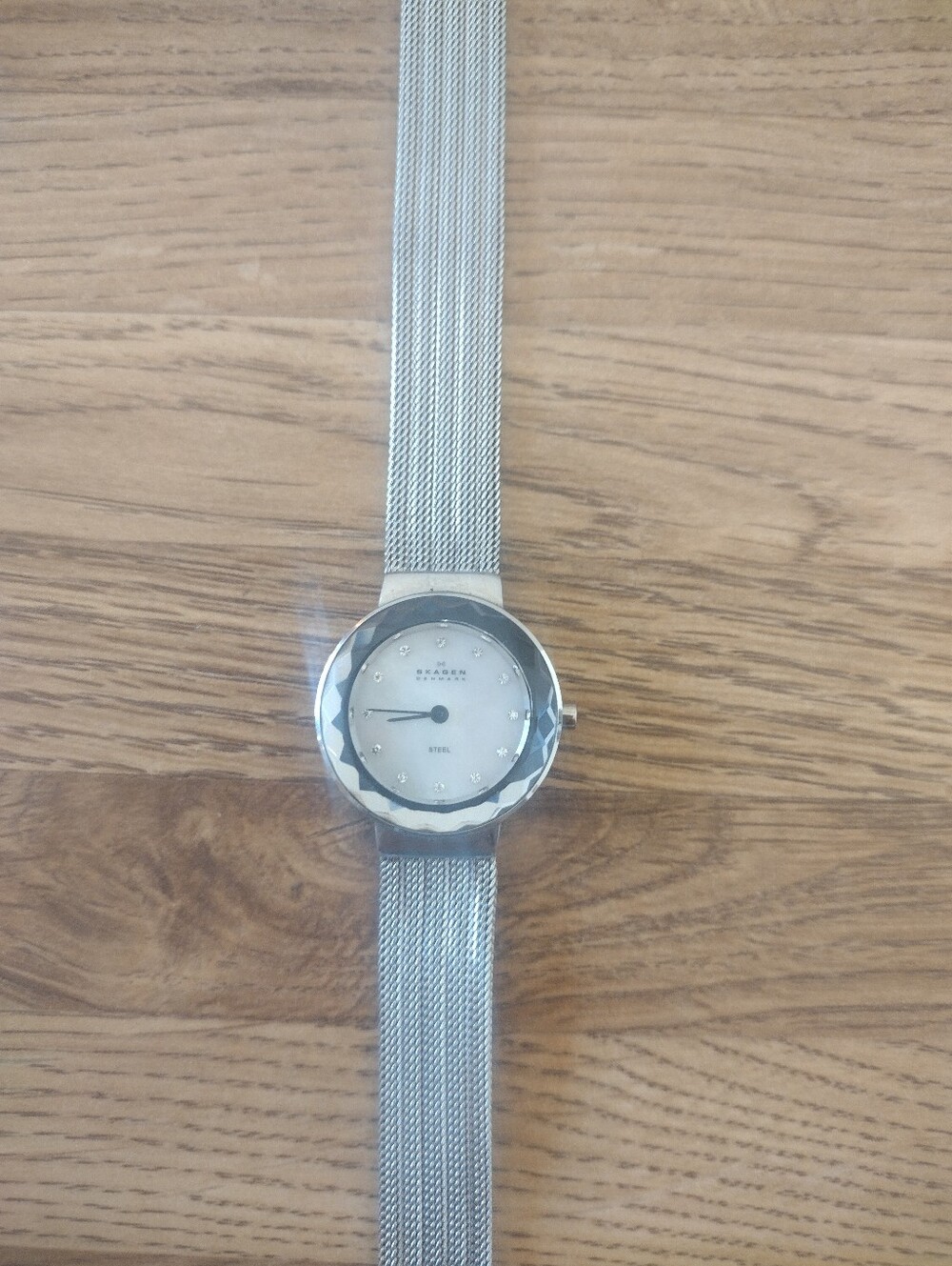 Women's 25MM Skagen Lenora Model 456SSS2 Quartz Watch